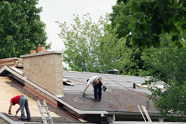 Best Roof Repair Services  in Wayland, IA
